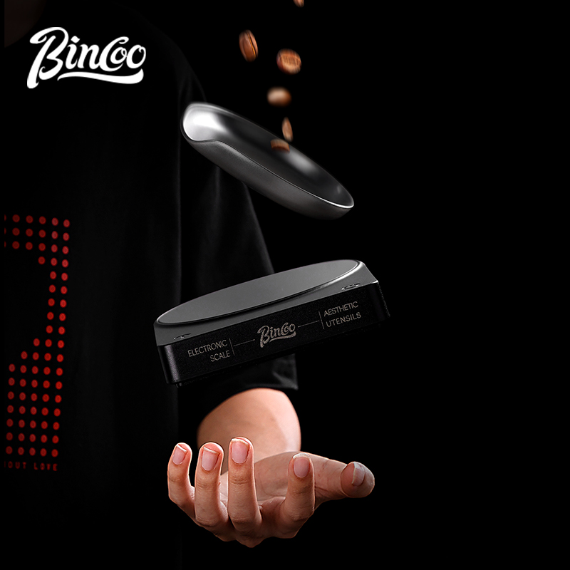 BINCOO Bilancia digitale per c - Smart Accessories recensione e prezzo
