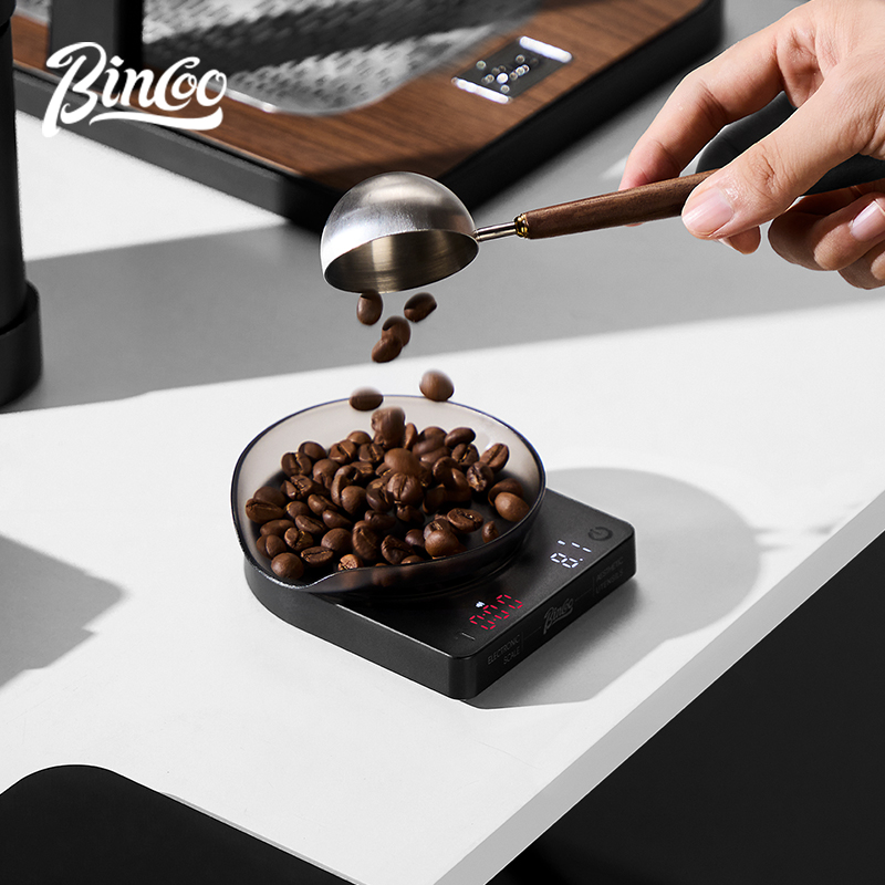 BINCOO Bilancia digitale per c - Smart Accessories recensione e prezzo
