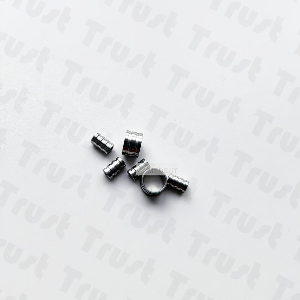 10 Pezzi Guide per Impianti De - Smartwatch Universal recensione e prezzo